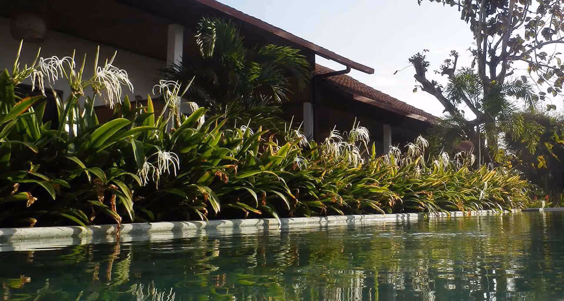 Casa Asia tropical garden disposes of a cozy pool with sunbeds area. Wait here for your driver, morning pickup hour is coming soon. Where you're visiting today?